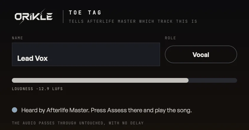 Toe Tag's window: the name Lead Vox, the role Vocal, a loudness meter reading -12.9 LUFS and a status saying it is heard by Afterlife Master
