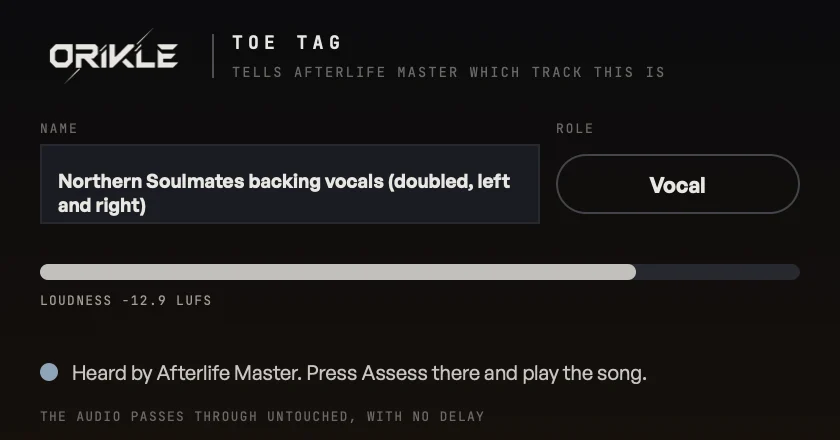 Toe Tag with a long custom name, Northern Soulmates backing vocals doubled left and right, wrapped onto two lines, and the role set to Vocal